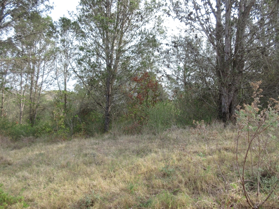 0 Bedroom Property for Sale in Bathurst Eastern Cape